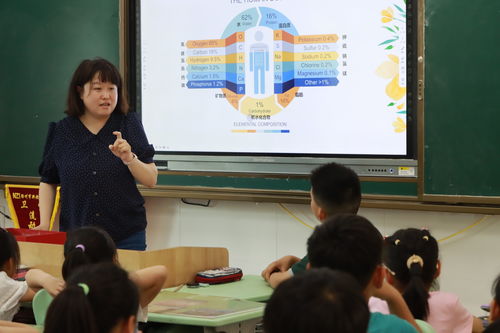 徐州新教育学校 打造寓教于 食 的 超学科融合 食育课程凤凰网江苏 凤凰网